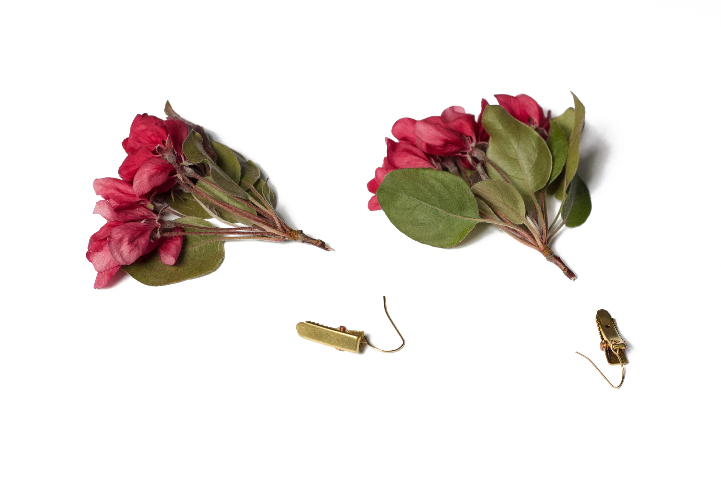 Natural Specimen Petites earrings