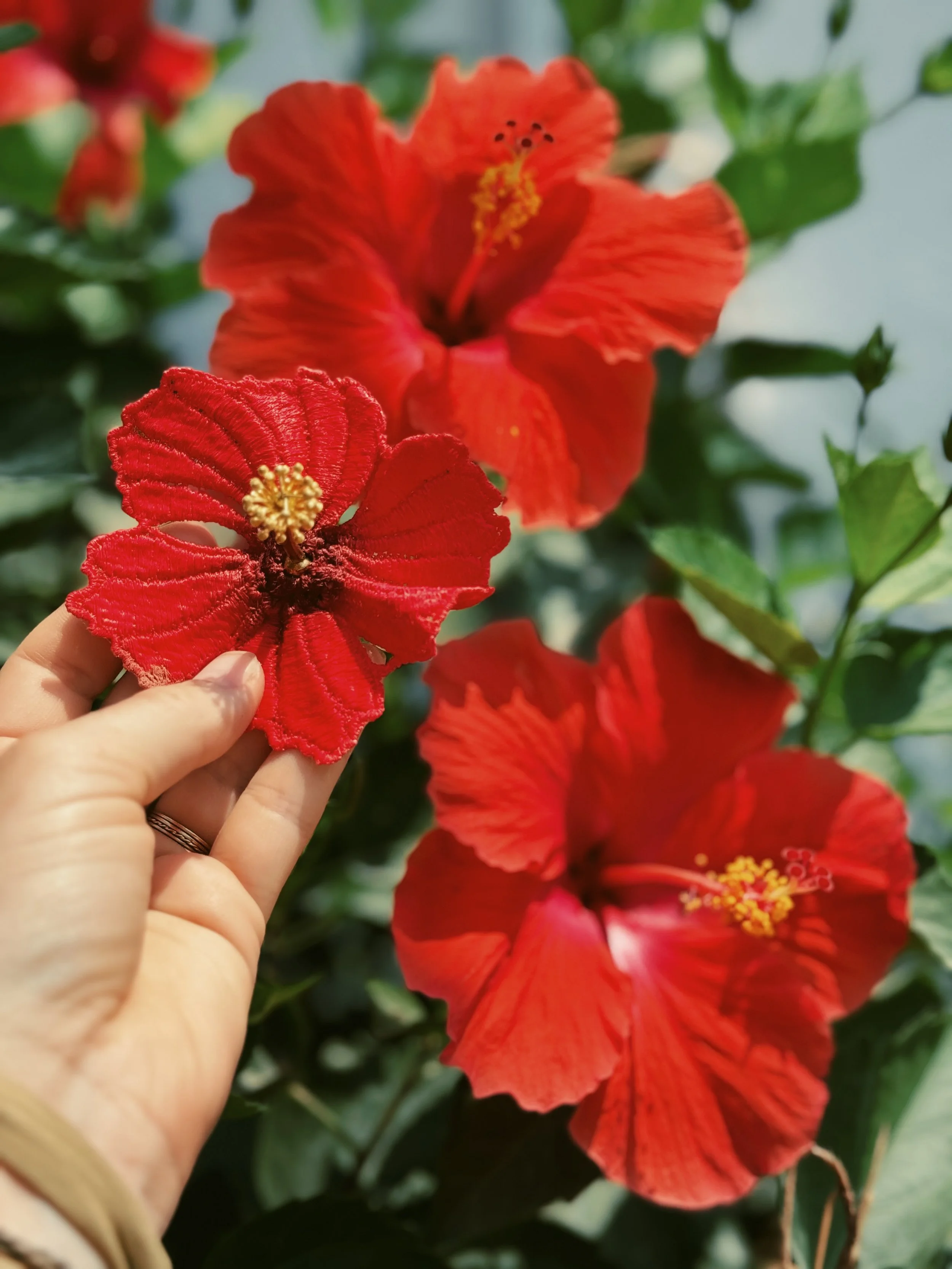 FullSizeRender_VSCO 6.JPG