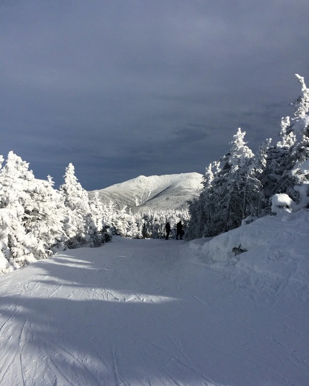 Winter, my nemesis, you have been gorgeous and magical but also frigid and painful. How about we slowly say good bye and part ways for a few months so I can feel alive again&hellip;? 

I enjoy your slowness, and how you reduce our world to manageable