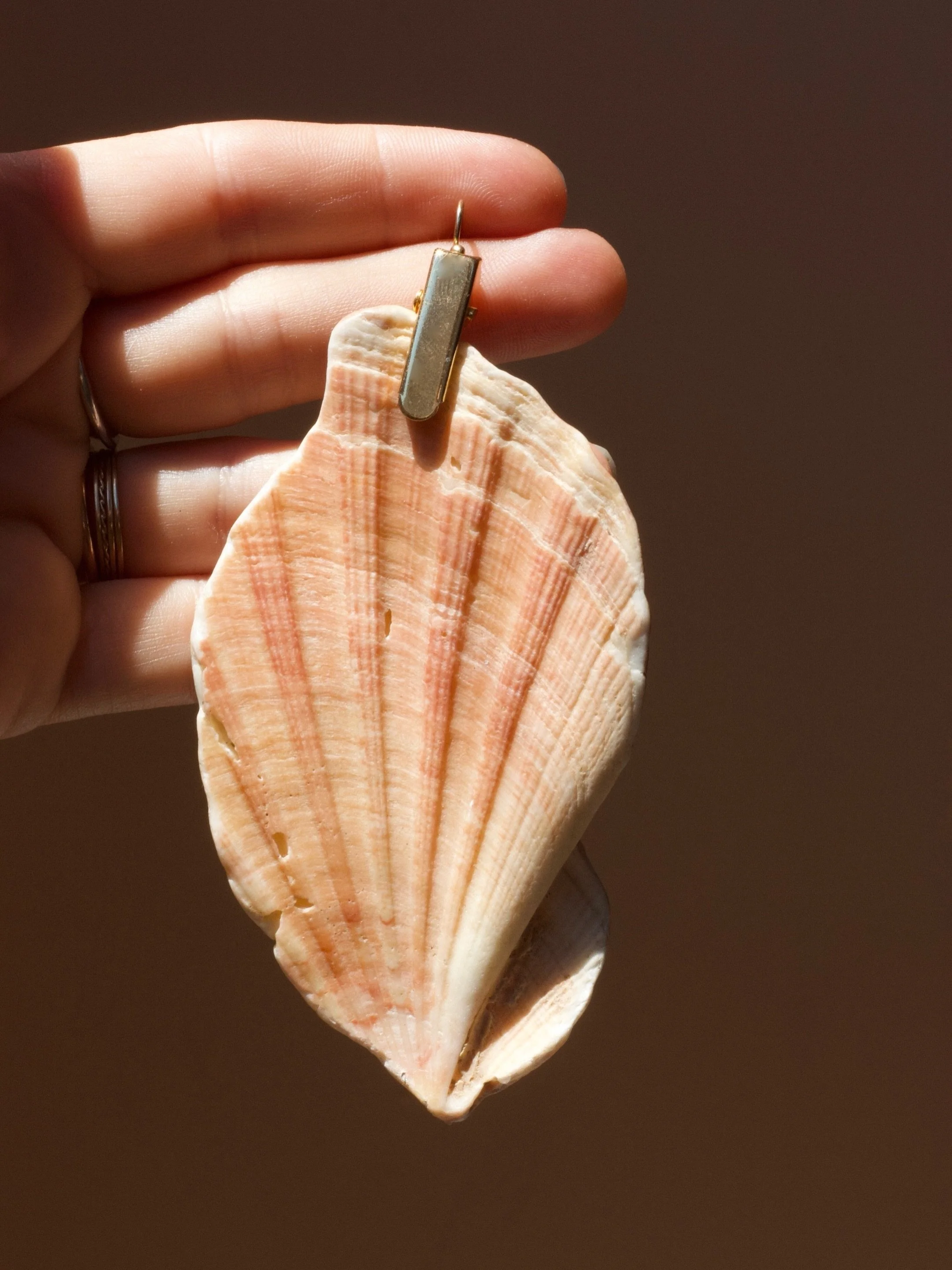 So May is a good time to start wearing seashells again right? 🐚 🧜&zwj;♀️ 

From left to right, Natural Specimen earrings, Coquillages earrings, Lua Pele earrings and Musaceae earrings.

#feelslikesummer☀️ #wearablenature #wearnature #statementearri