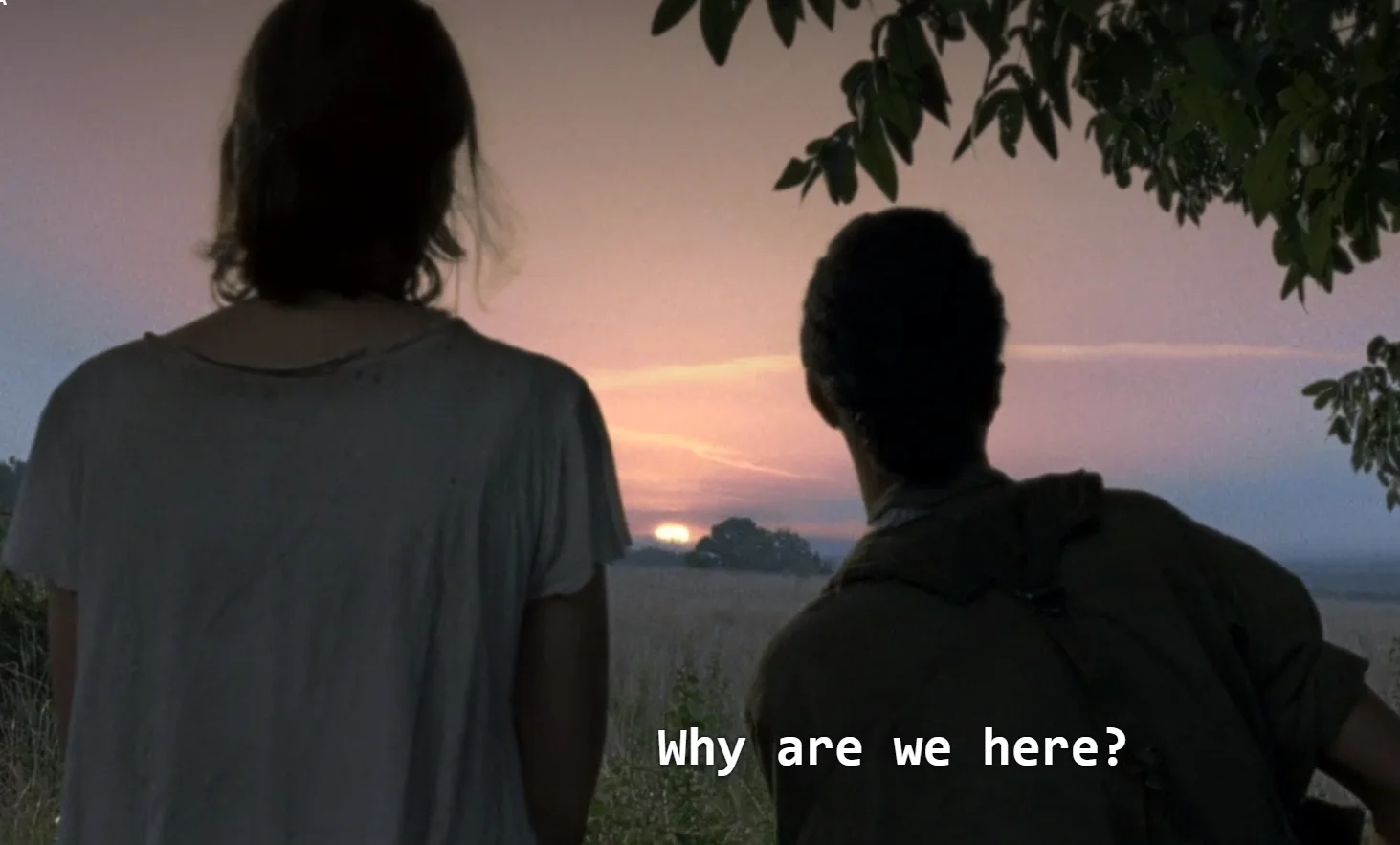 Season 5
