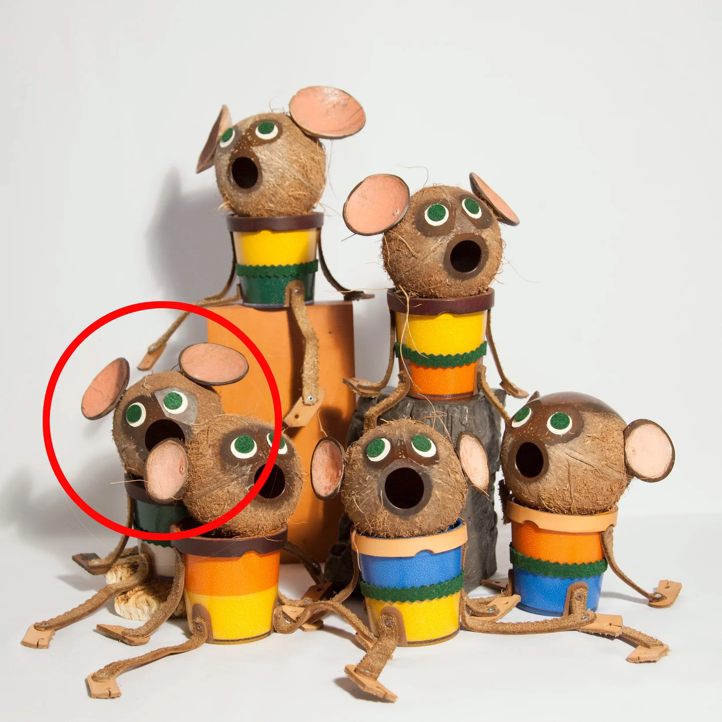 greenwhite group+drupe.jpg