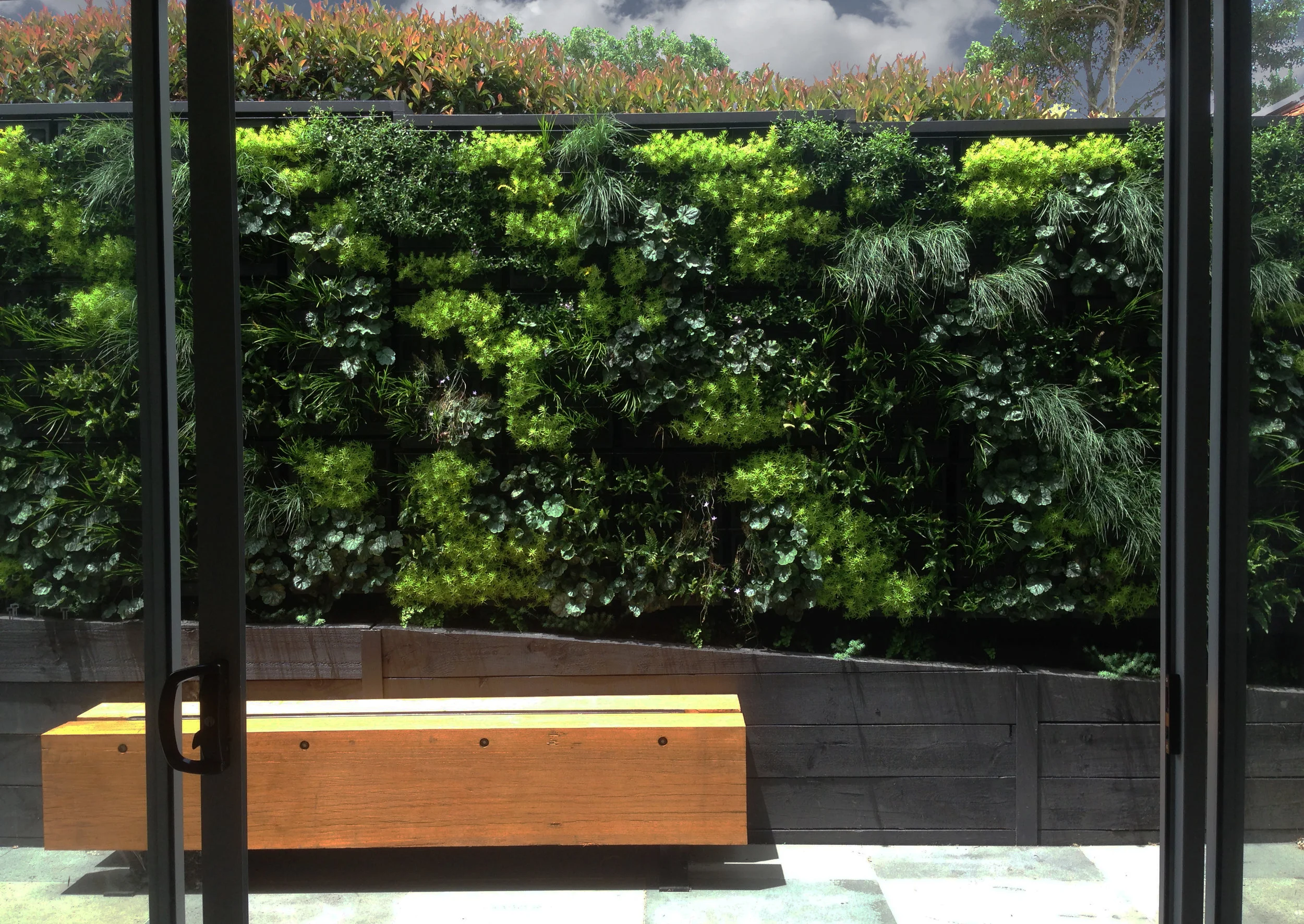 AKAS Landscape Architecture - Ivanhoe 1.jpg