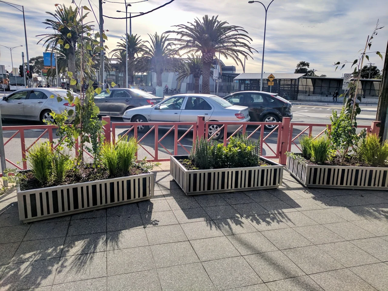 Springvale Pollen AKAS landscape architecture 2.jpg