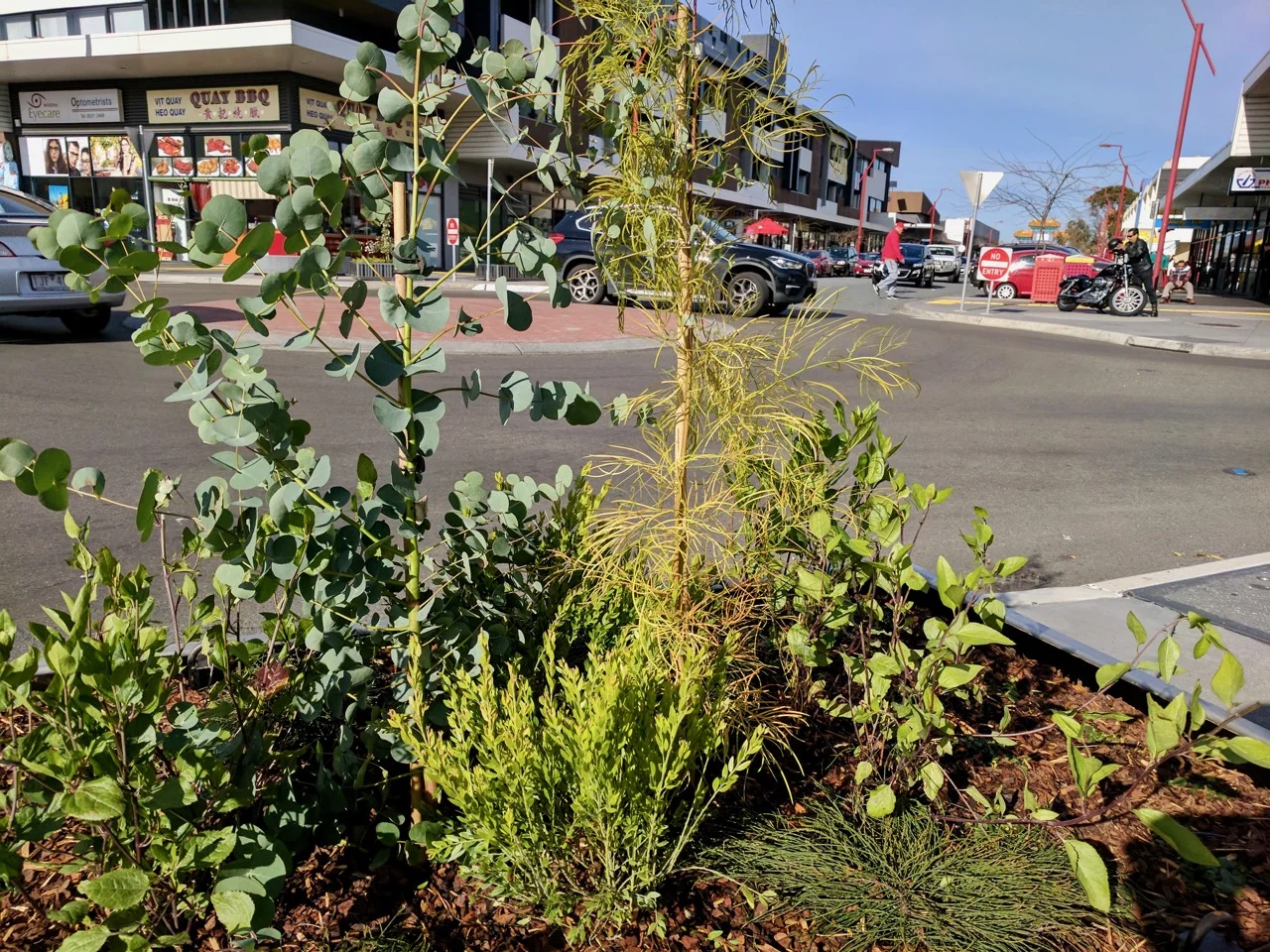Springvale Pollen AKAS landscape architecture 5.jpg