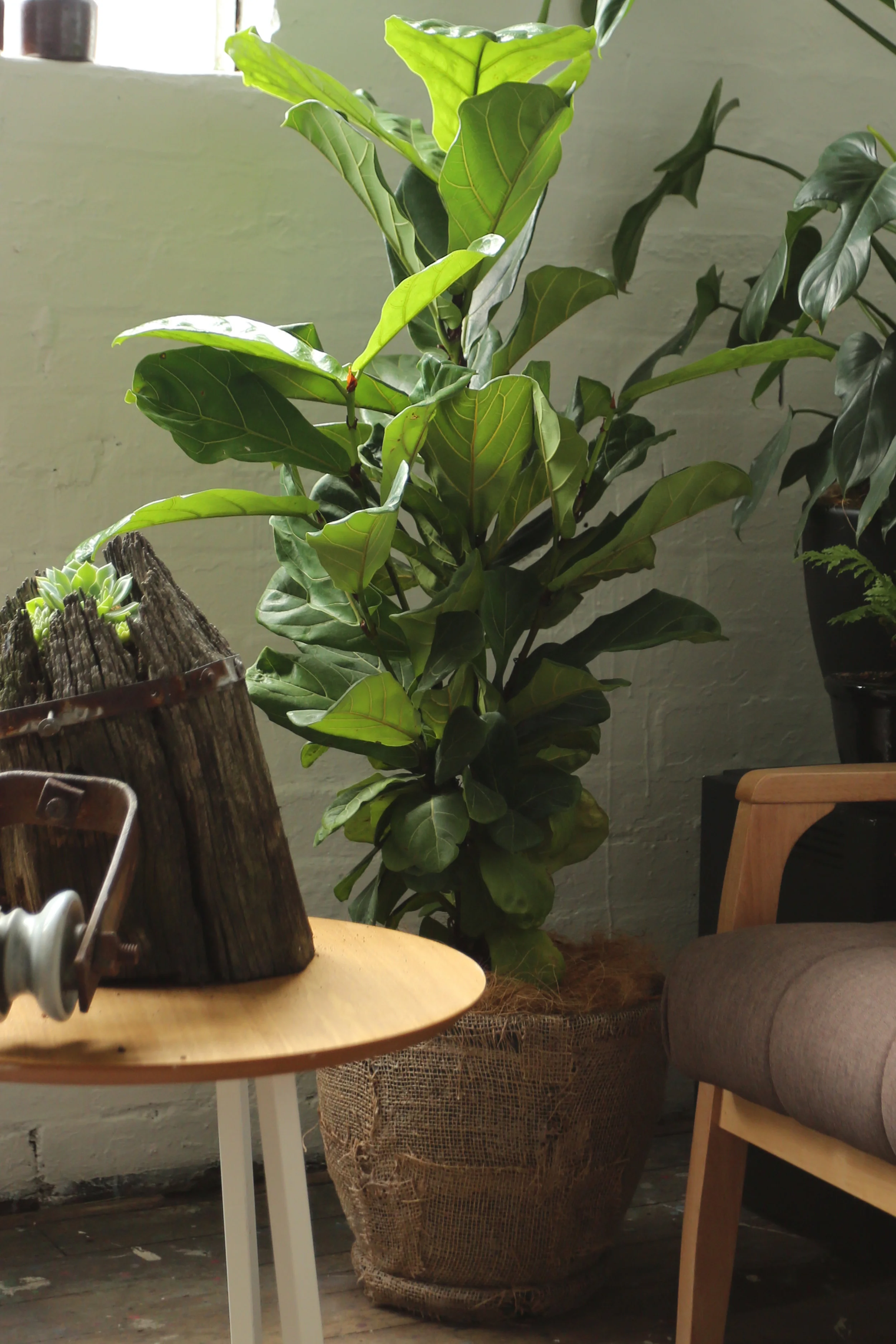 AKAS Landscape Architecture Indoor 6.jpg