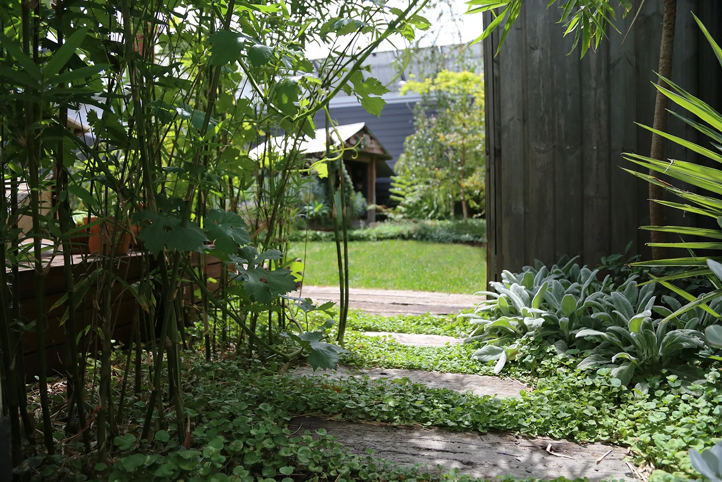 AKAS landscape - Northcote 05.jpg