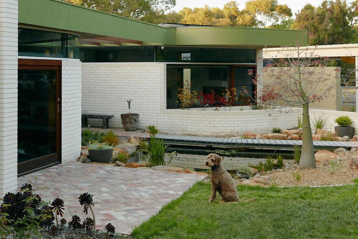 Who wouldn&rsquo;t want a bridge over water to the front door? A modernist inspired seaside home, Inverloch. 

Landscape Architecture: @akas_landscape &amp; Alistair Kirkpatrick
Architecture: @placement_studio &amp; @nestarchi 
Photography: @tomross.