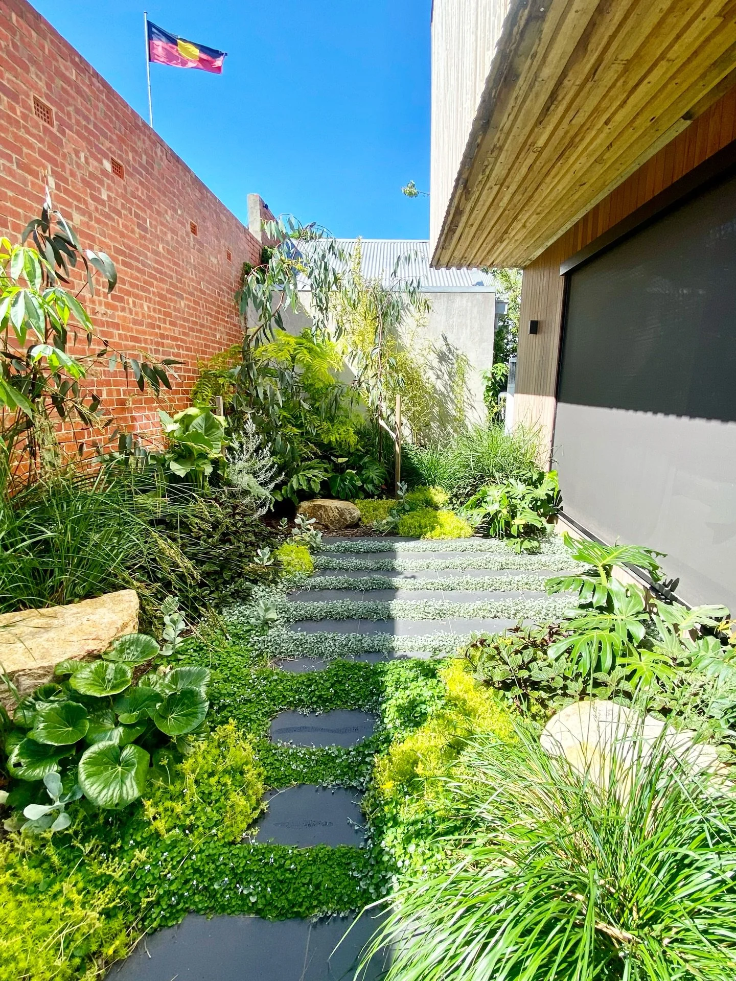 A dream garden in Clifton Hill @clifton_hill_passive_house includes a decking bridge to the front door, an above ground pool with obscured fencing, a courtyard oasis view, lawn &amp; entertaining area, outdoor fireplace and indigenous / native / exot