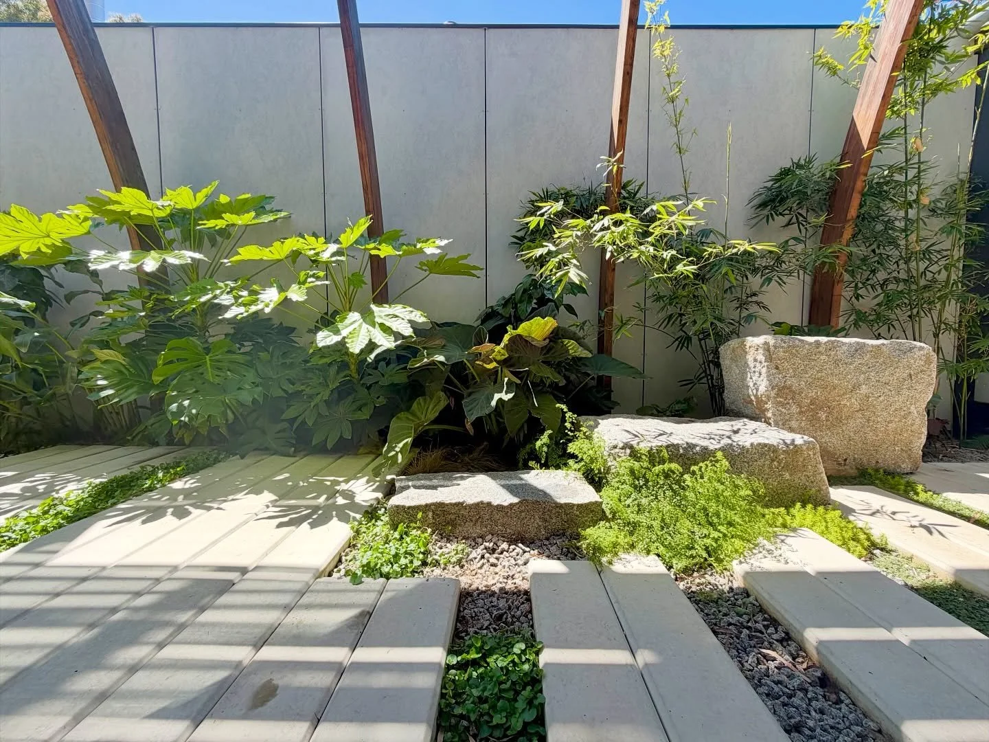 Fitzroy North Courtyard - Flourishing 
Design: @akas_landscape 
Build: Advanced Landscaping and Paving