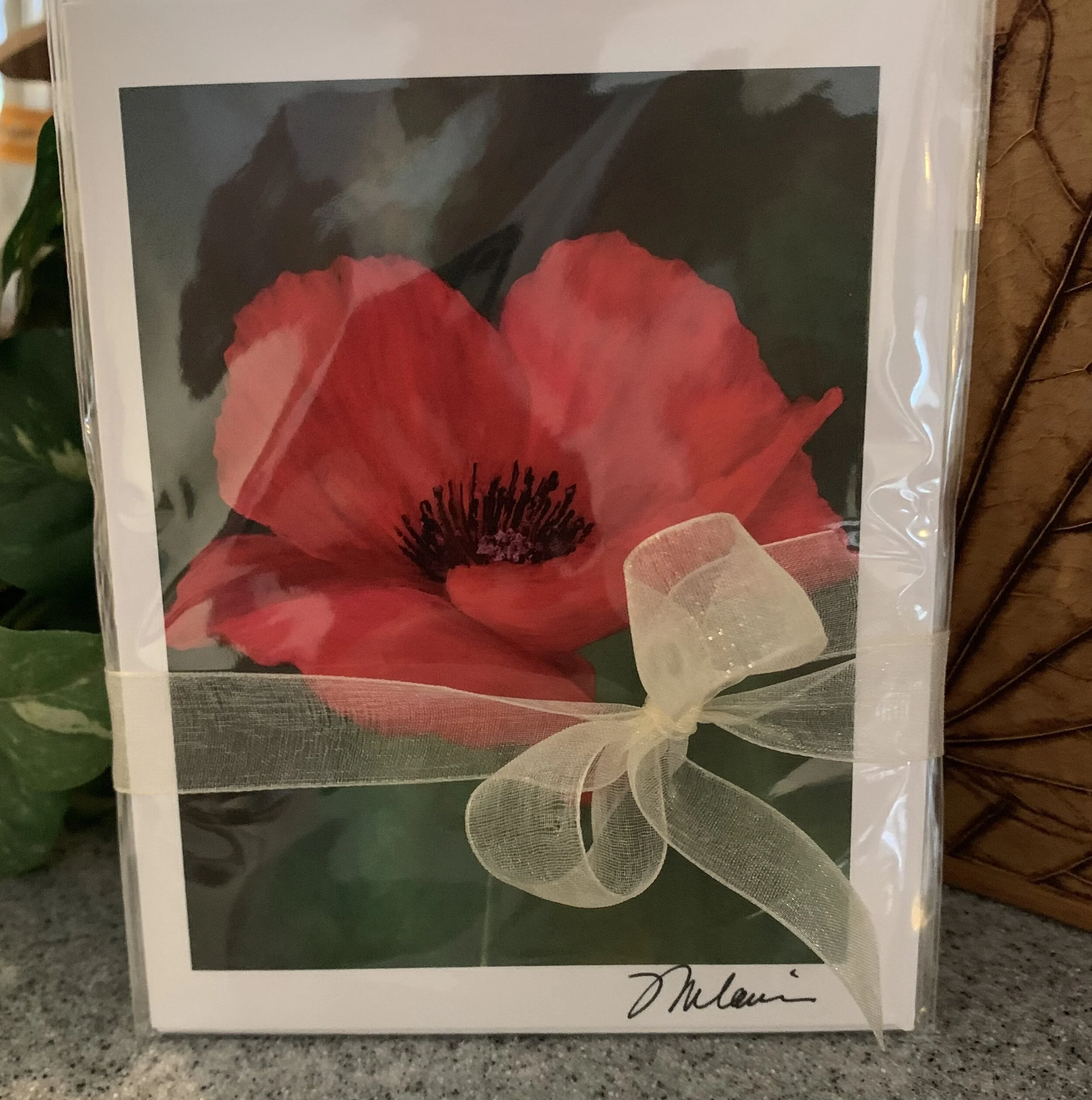 A0398C77-1295-4162-B2AC-FCAE2084BE46