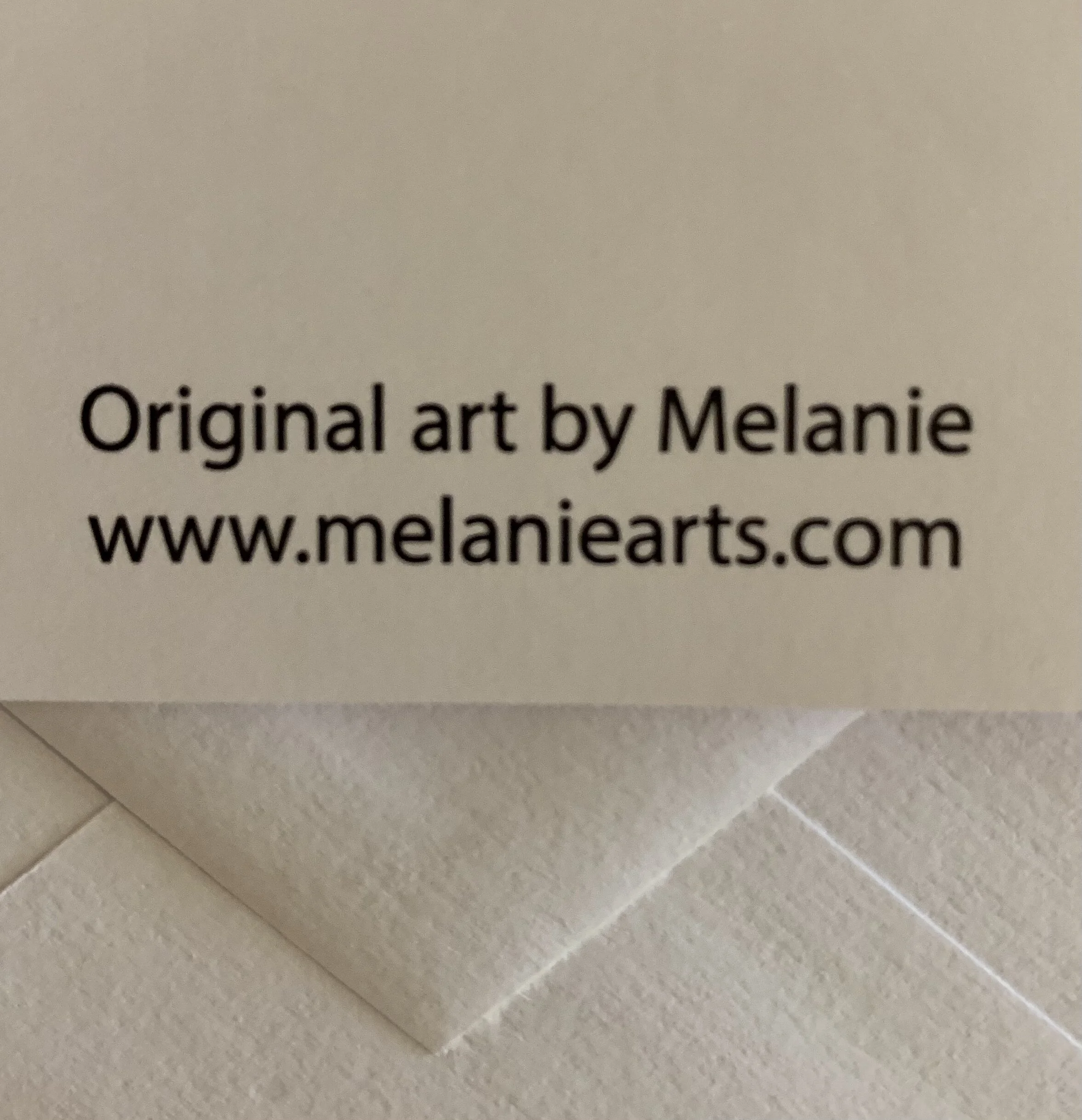 4C33CD93-B6B8-428D-A842-A1A54435A1A7