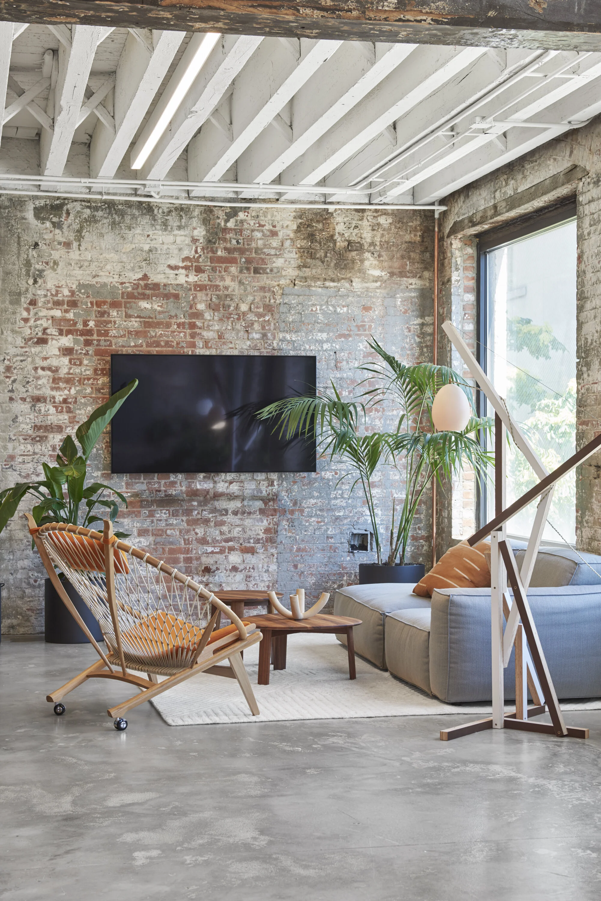 Koala Headquarters — office of tangible space