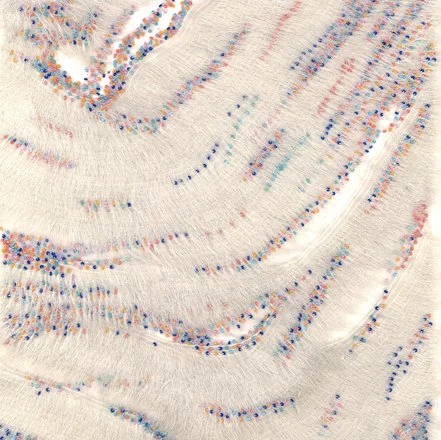 Aamir Page Images Couture.jpg