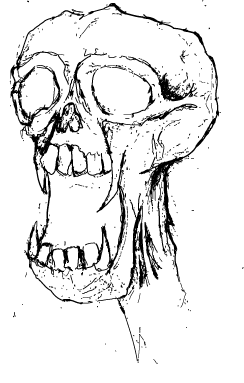 Vector-Skull.png
