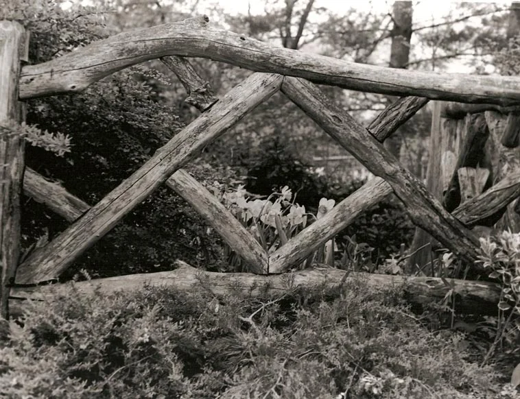Fence.jpg