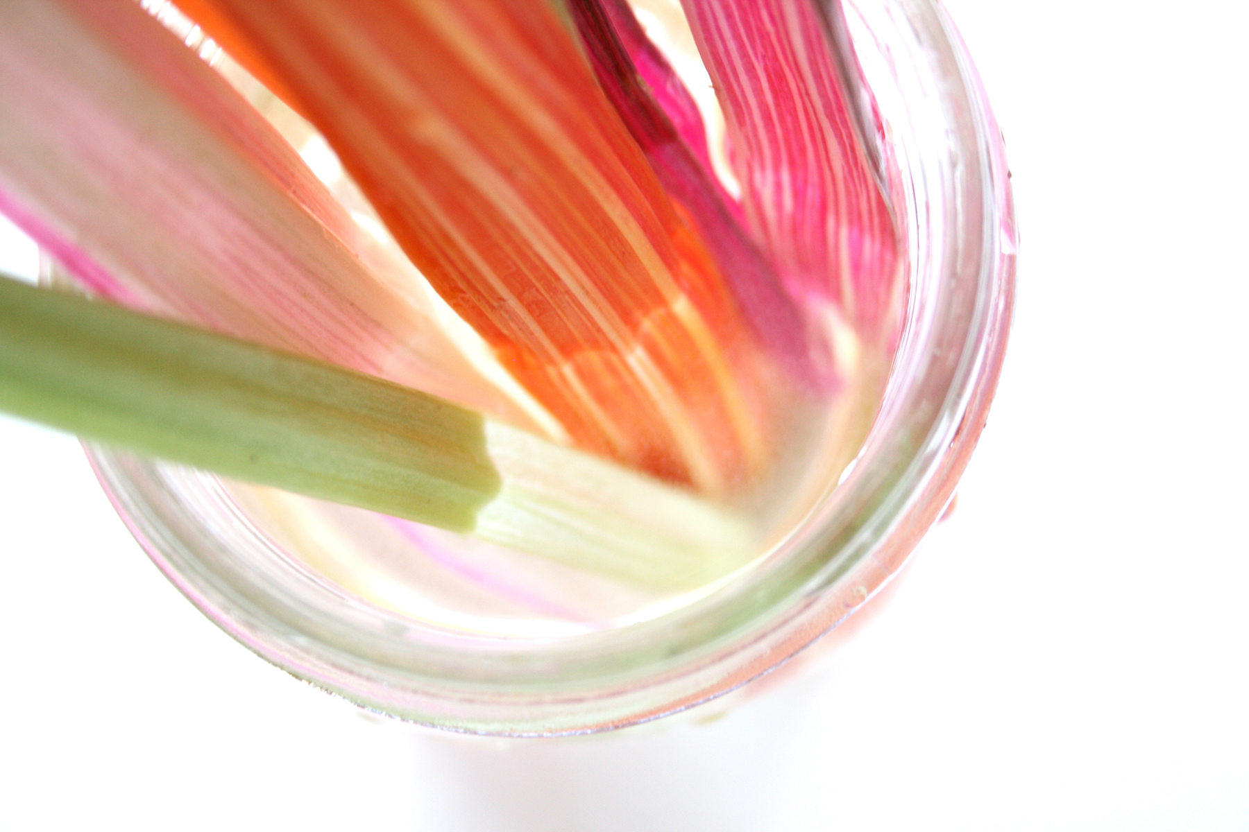 120213_Rainbow Chard3.jpg