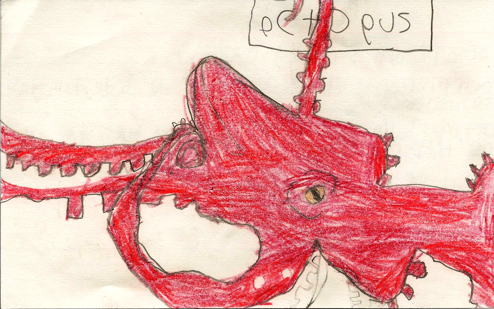 daniel_octo+squid.jpg