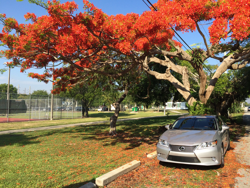 Lexus-ES350-2014-02.jpg