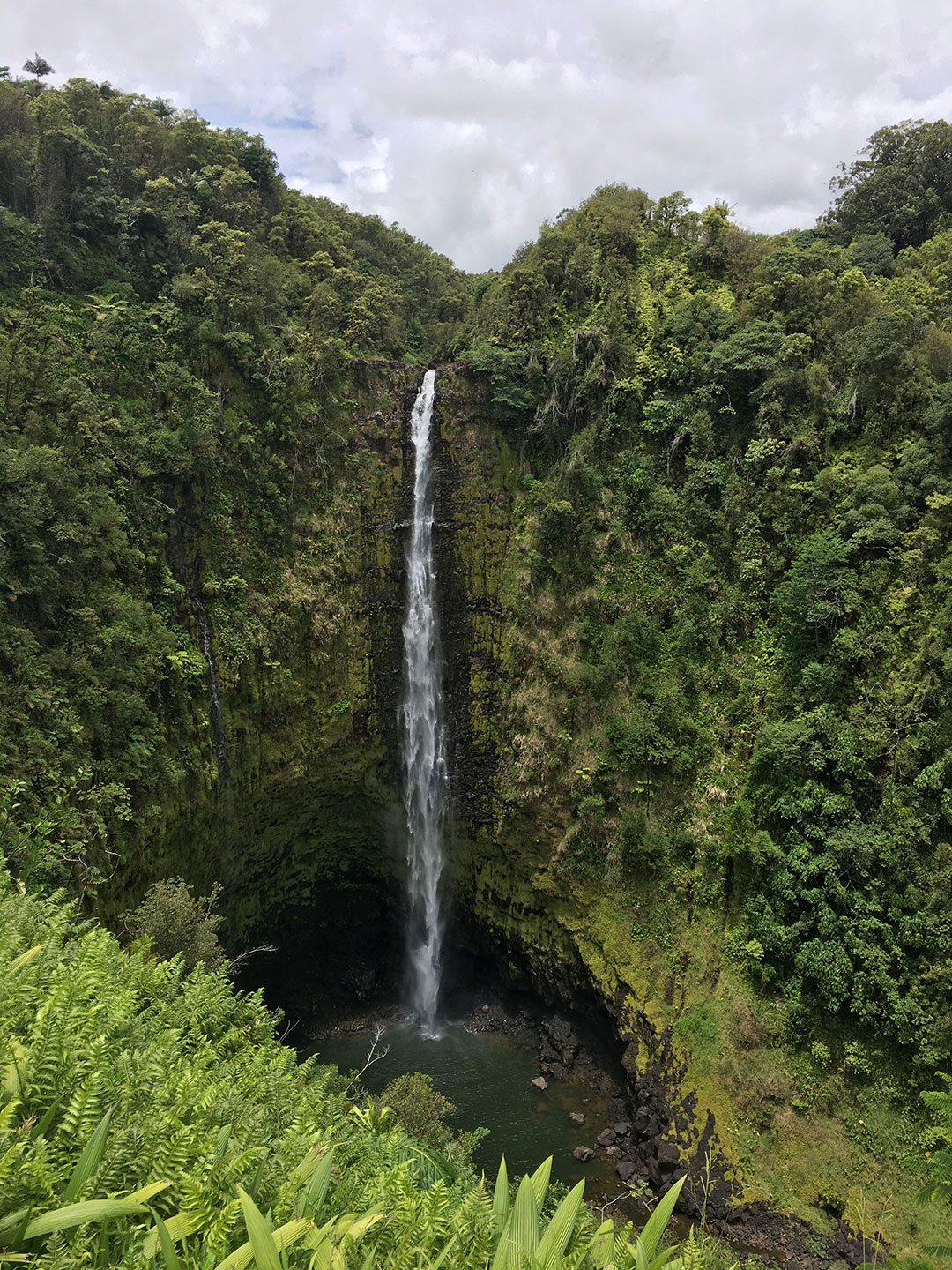 Kona_Hawaii_2017_viajes_14.jpg