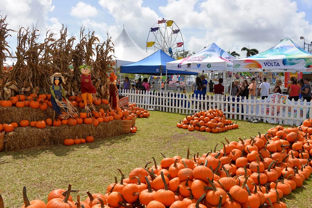 Foto Cortesía Coconut Grove Pumpkin Patch Festival