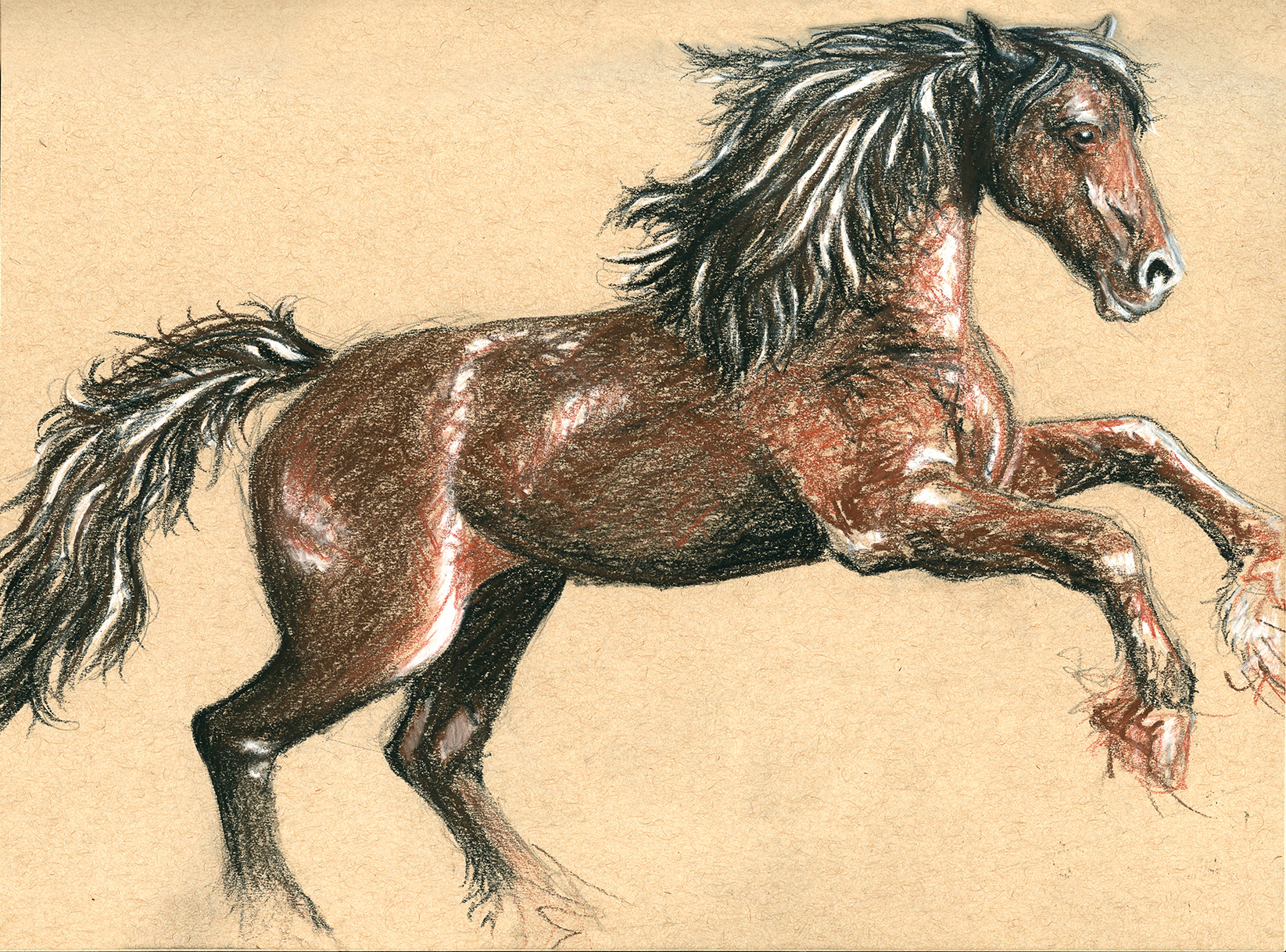 Charcoal Horse