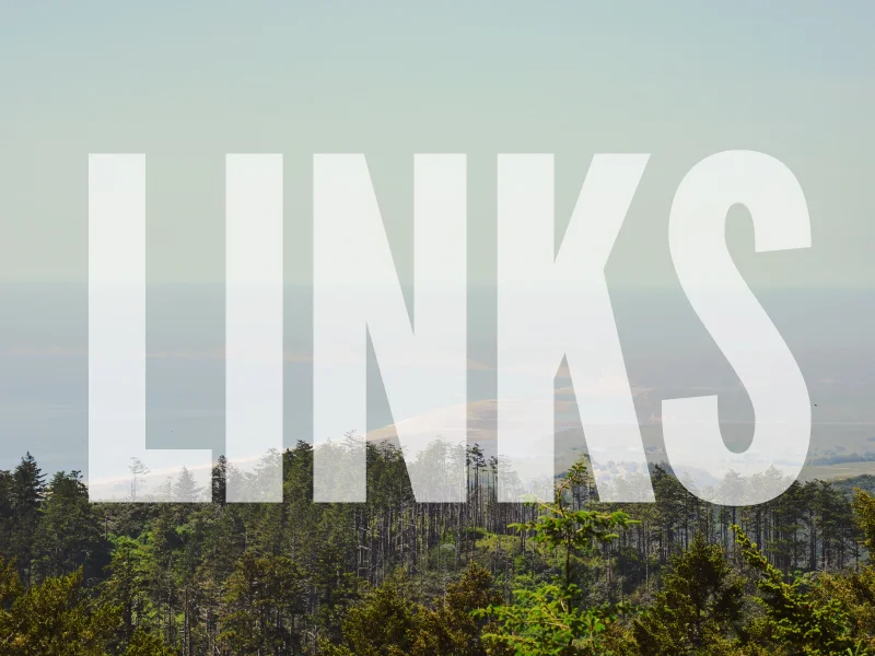 links14.jpg