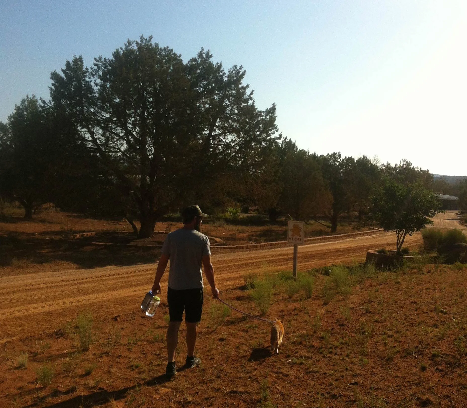 jordanwalkingcat.jpg