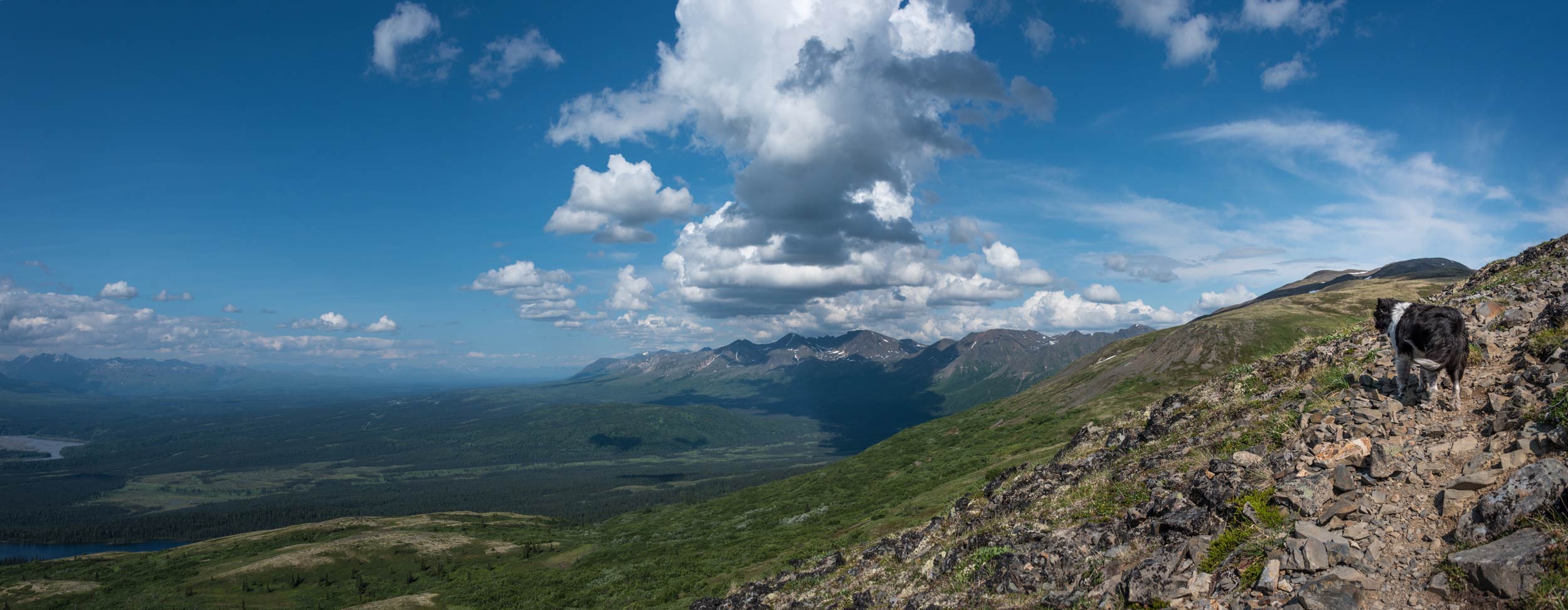 DSC_2356-Pano.jpg