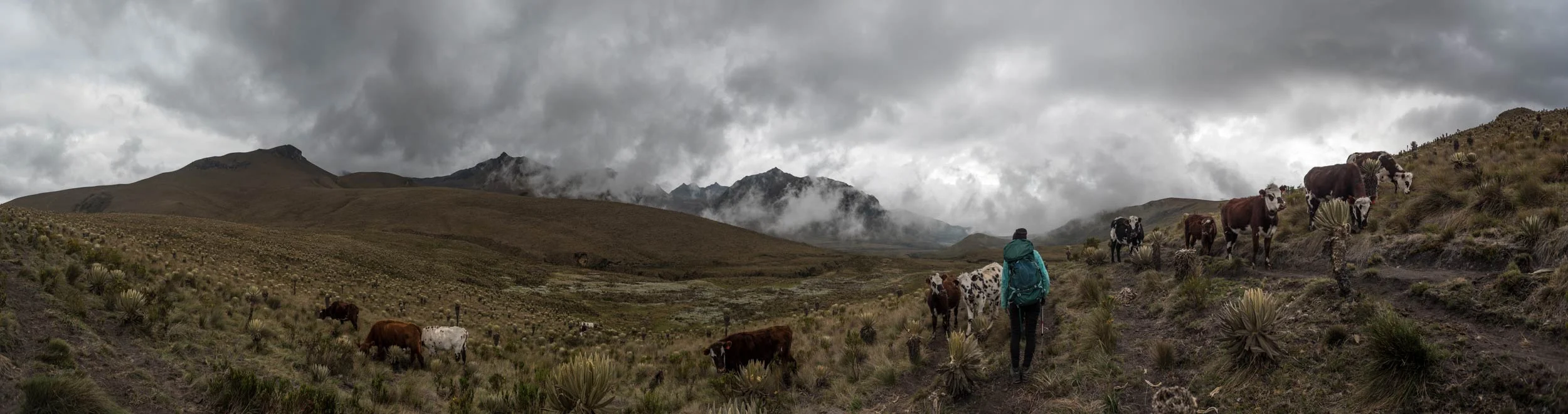 DSC_6375-Pano.jpg