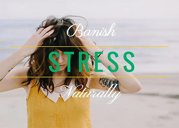 How to Reboot Your Relationship With Stress
