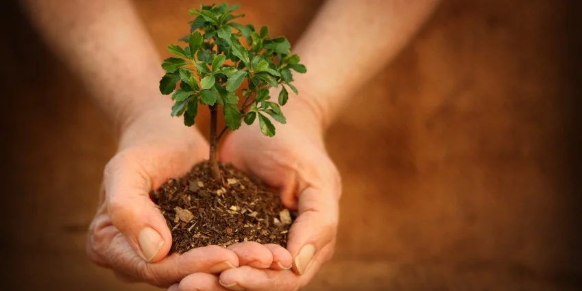 Integrative Medicine Canberra