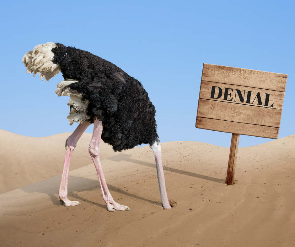 ostrich