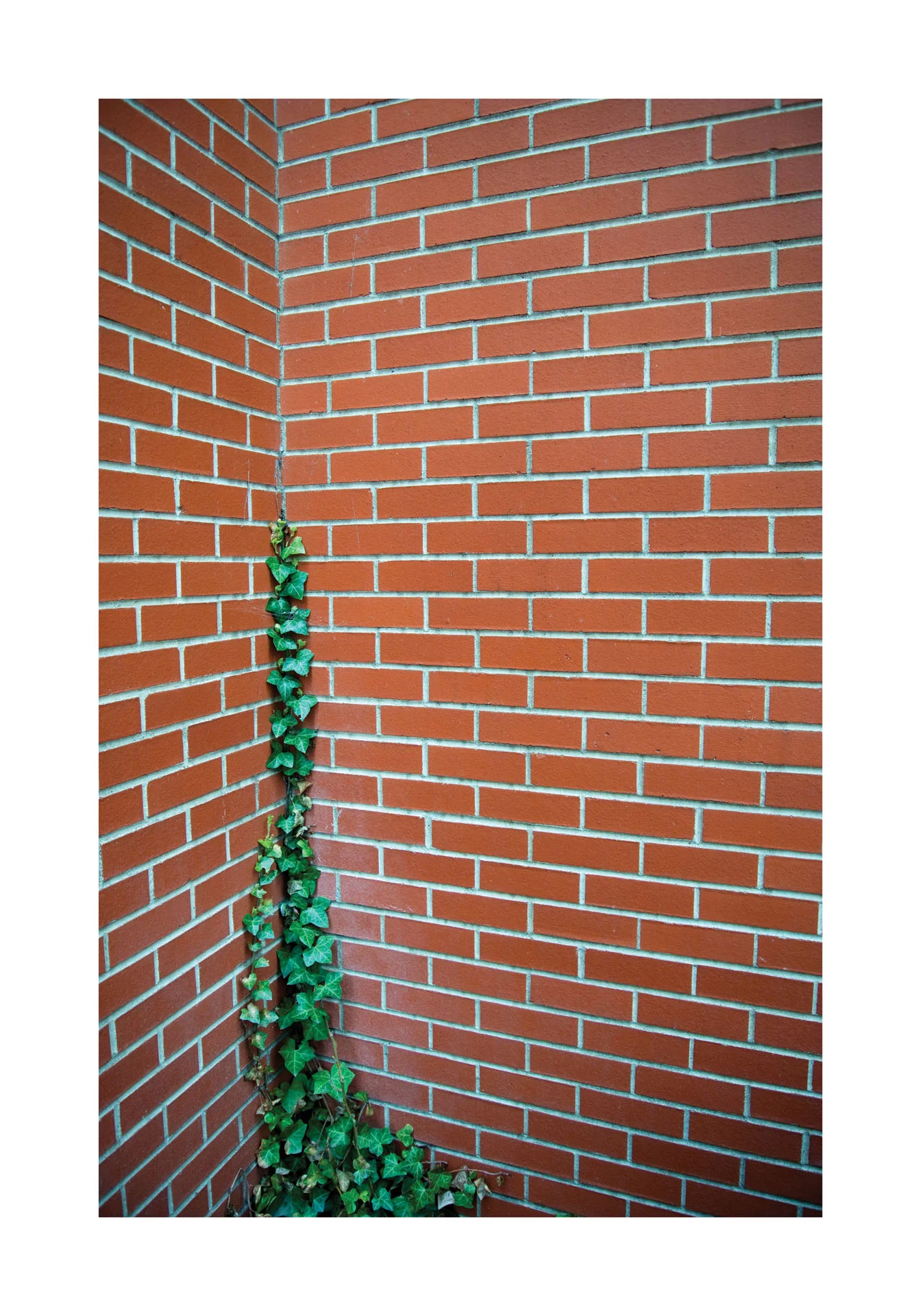 Ambit, 2014. 11 x 17 in (27.94 x 43.18 cm). digital photograph.