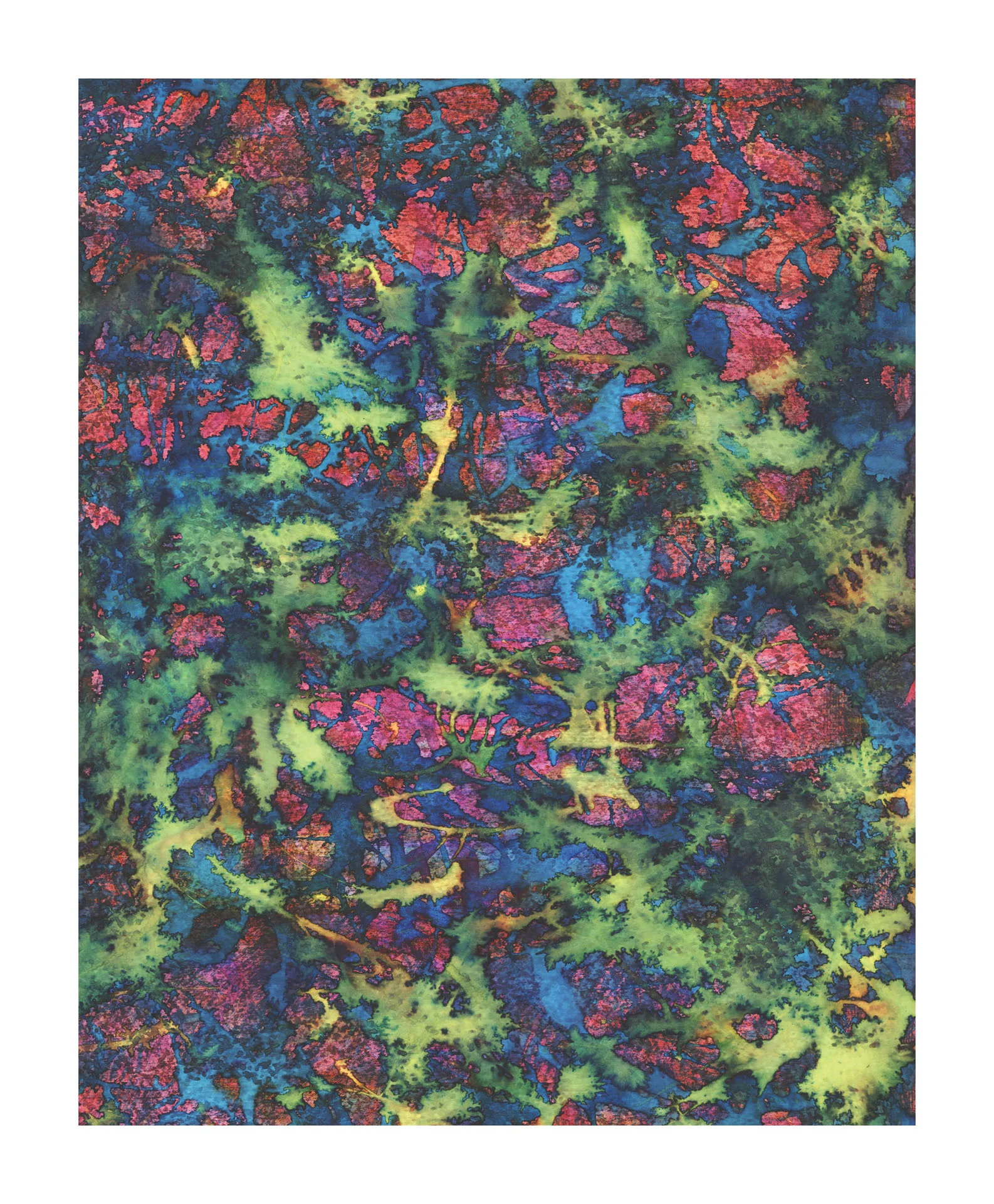 Glomalin , 2014. 16 x 20 in (40.64 x 50.8 cm). watercolor on paper.