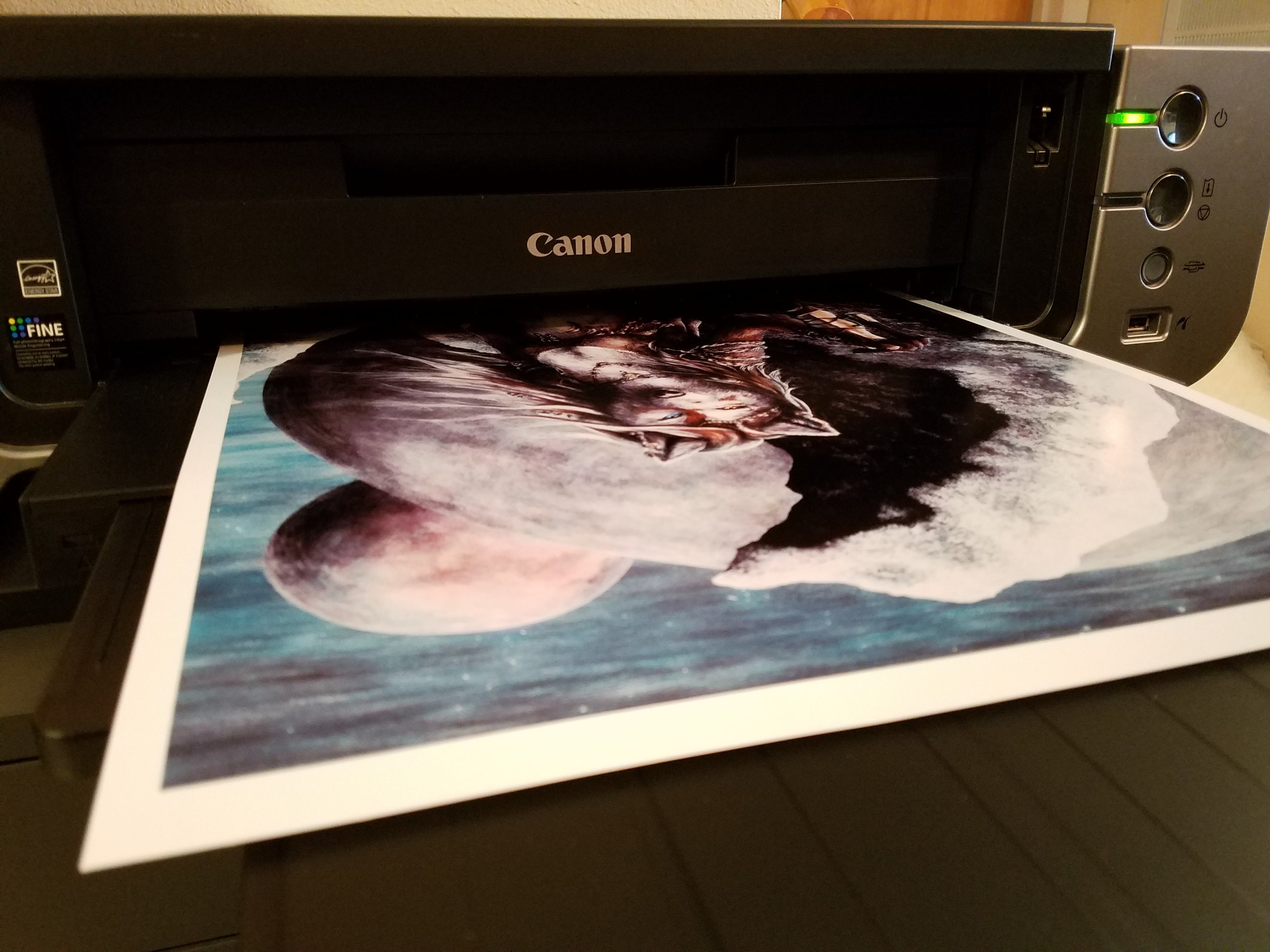  Prints are forged with a Canon PIXMA Pro9000 and several types of premium inkjet paper. 