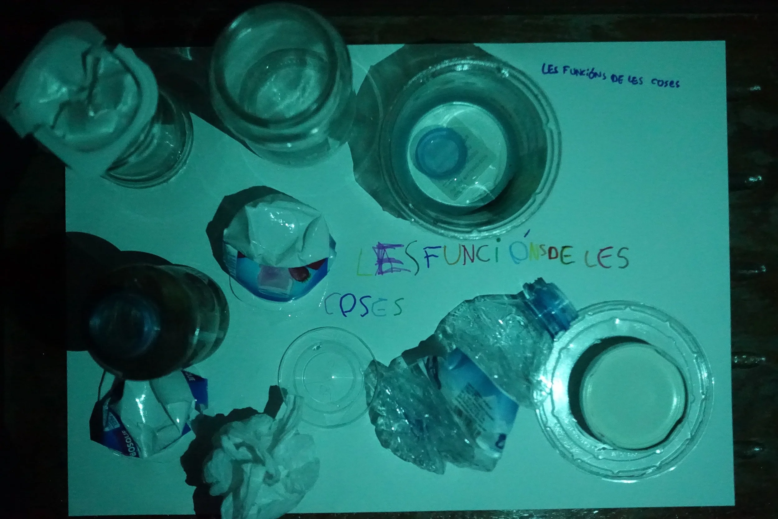 DSC07739.jpg