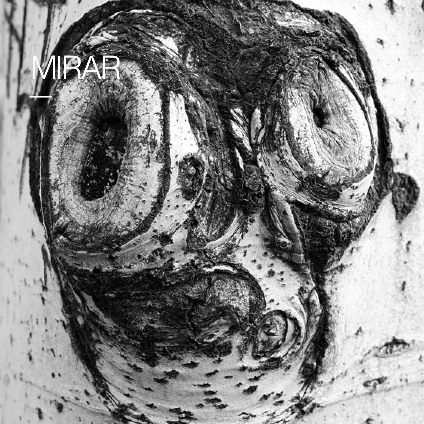        &nbsp;       
  
         Guillem Vidal, Retrats     Portraits  
  
 
      &nbsp;        &nbsp;      










































  

    
  
     

      

      
         
          
        
        

        
           
   