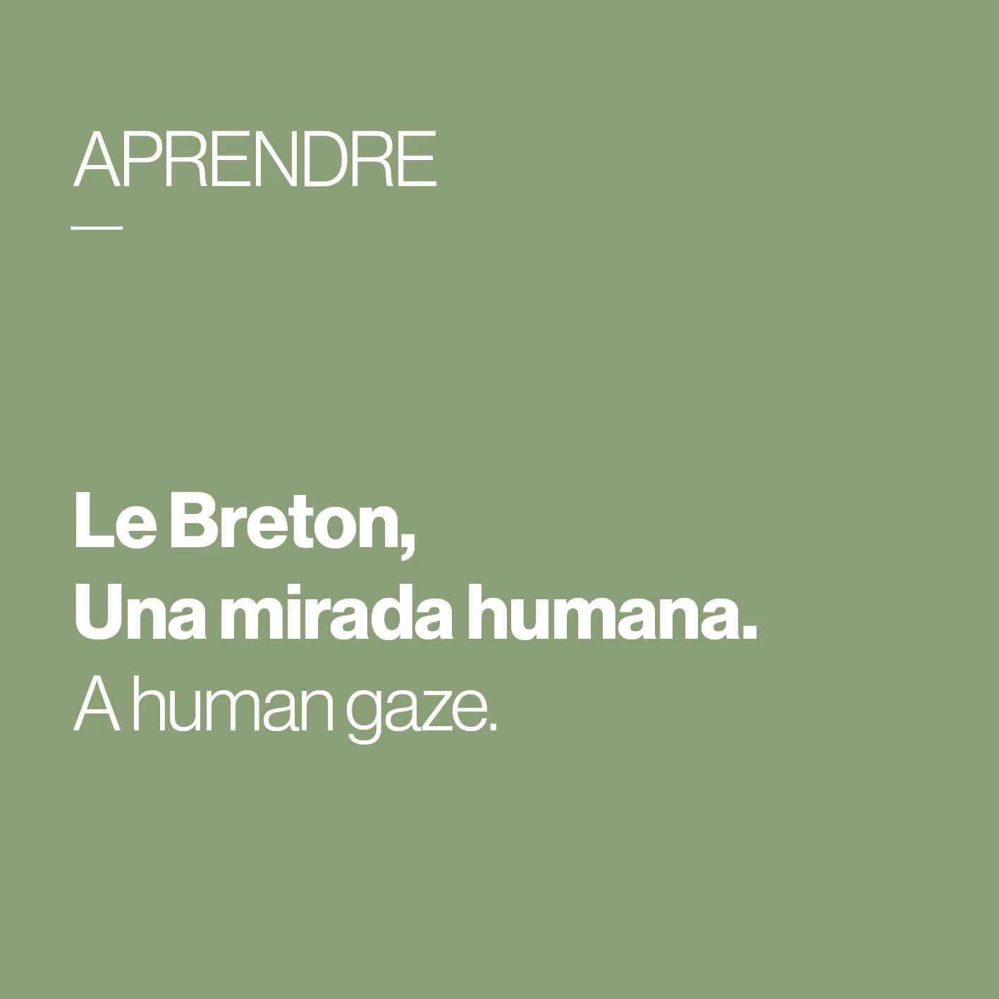        &nbsp;       
  
         Una mirada humana     A human gaze   

  
 
      &nbsp;      &nbsp;      &nbsp;      










































  

    
  
     

      

      
         
          
        
        

        
     