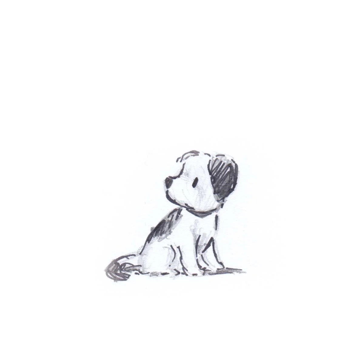 sketches crop dog 2 copy.jpg