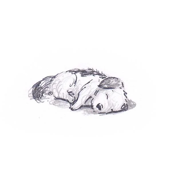 sleep 1 crop.jpg