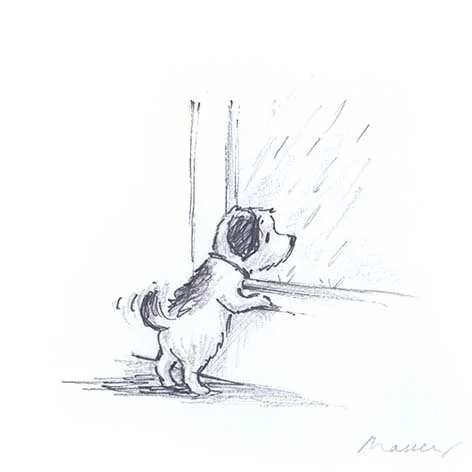 raining crop.jpg