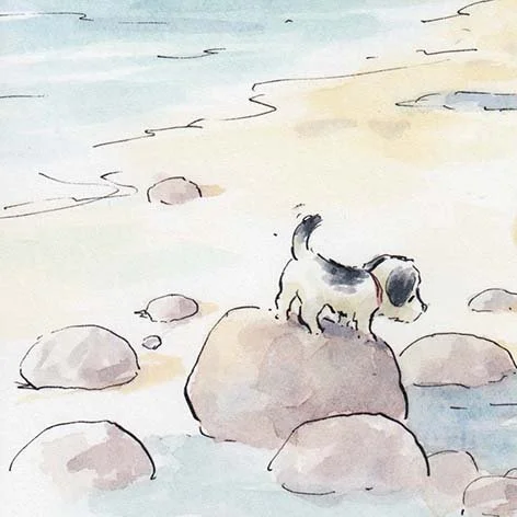 rockpool crop.jpg