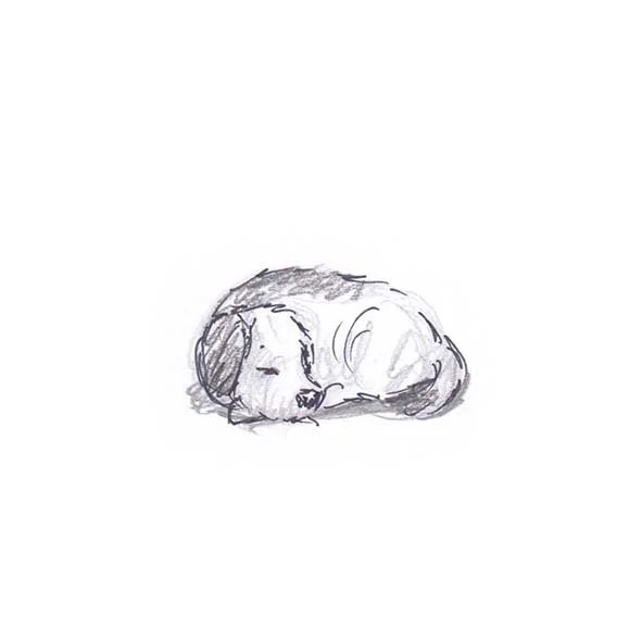 sleep 3 crop.jpg