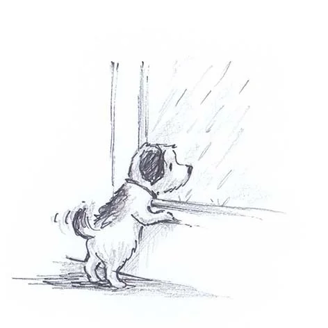 rainy day crop.jpg