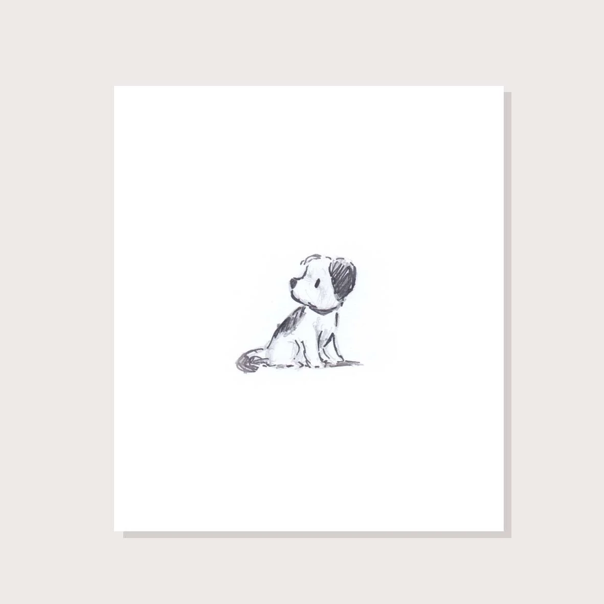 dog 2 pic copy.jpg