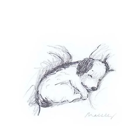 sleeping 2 crop.jpg