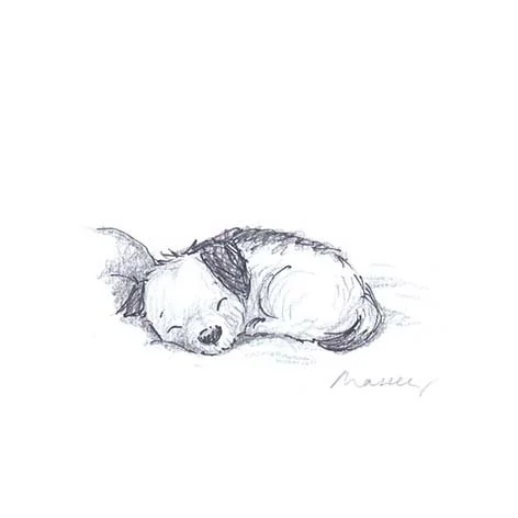 sleeping 1 crop.jpg