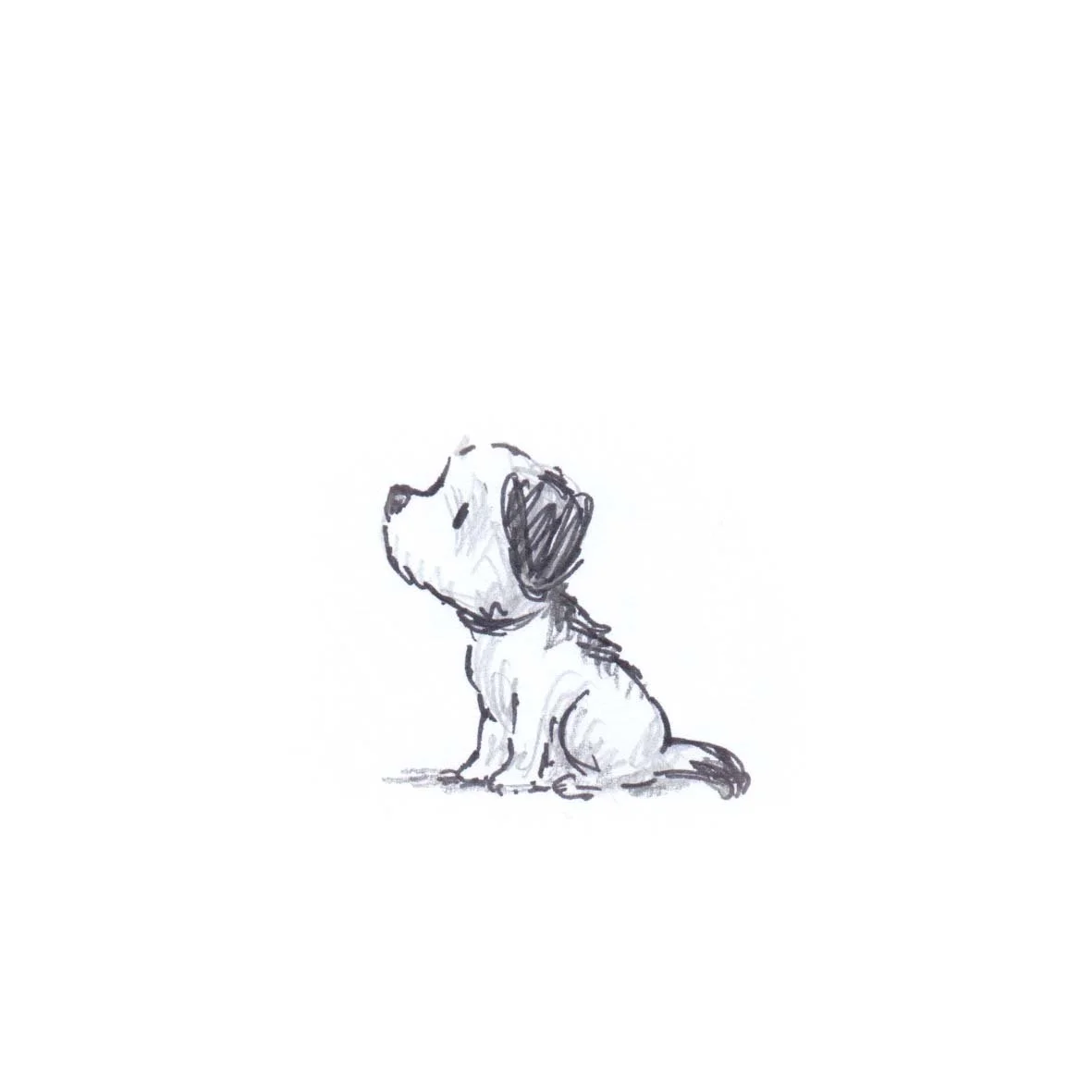 sketches crop dog 1.jpg