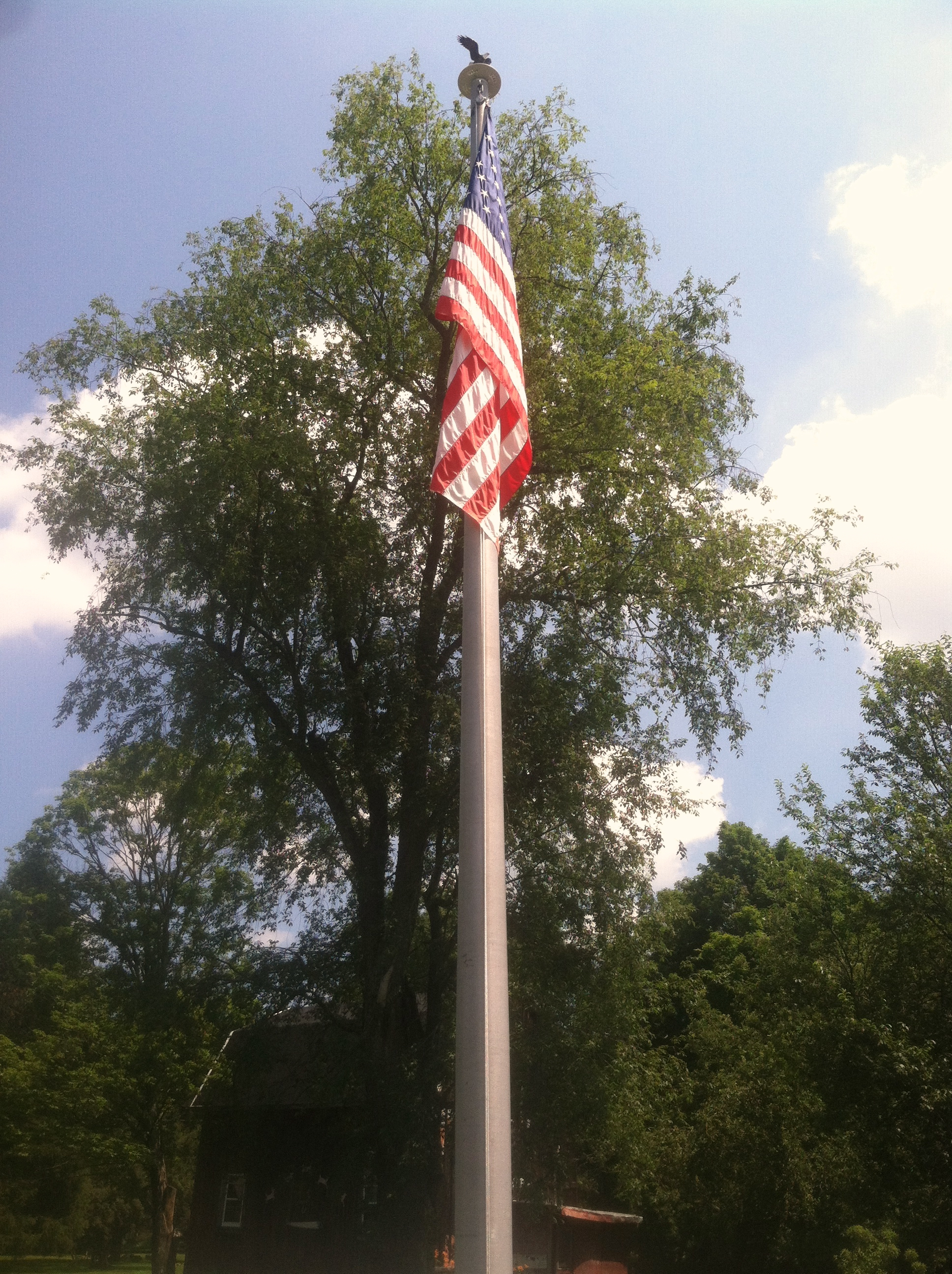IMG_0750.jpg